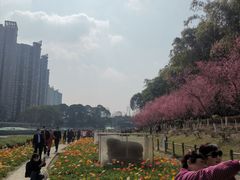 -望江楼公园