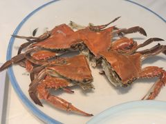 -东夷海鲜巨无霸(东夷小镇店)