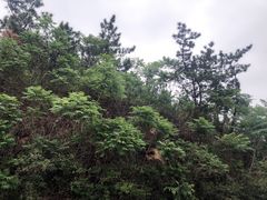 -太和山风景区