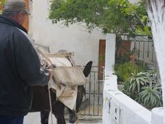 -皮尔戈斯