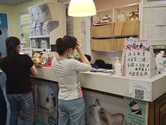 -瑞派长江宠物医院·猫科·外科·24小时夜护(谊城公寓分院)