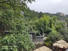 -老张烤羊(王哥庄店)