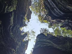 -梭布垭石林景区