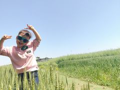 -苏州太湖西山岛开心农场