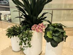 -龙湖重庆时代天街