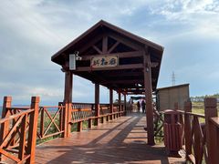 -草原天路(张北县)