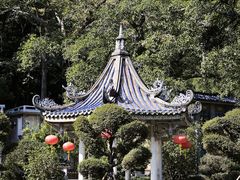 -潮镇老尾牛杂(环城西路店)