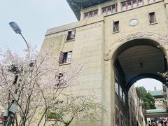 -武汉大学-樱园