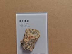 -周口店北京人遗址公园