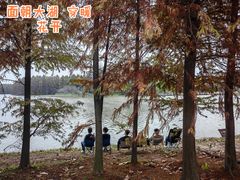 -上海海湾国家森林公园