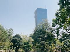 -名树园