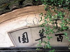 -鲁镇