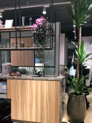 -Mentor Hair Salon