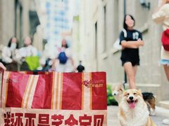 -大芊金重庆串串火锅(南京路店)