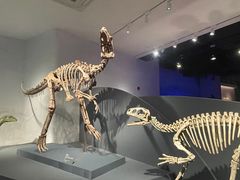 -自贡恐龙博物馆