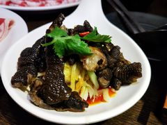 -老诚一锅羊蝎子(黄寺大街店)