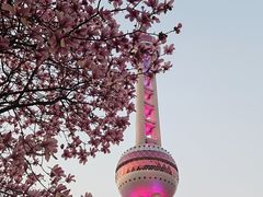 -东方明珠广播电视塔