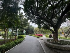 -晓港公园