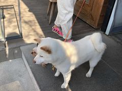 -the rug 飞毯 (朝阳公园店)