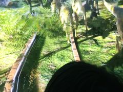 -汕头蓝水星欢乐世界