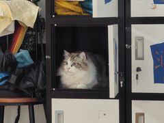 -平行世界·猫咖(首经贸店)
