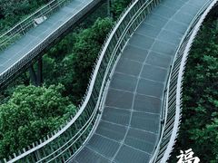 -福道