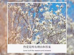 -睦南公园