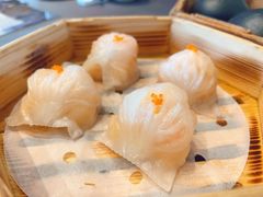 -韩上楼
