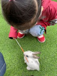 -萌宠亲子动物乐园(槐房万达店)