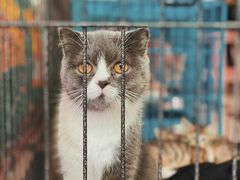 -家友宠物(莞城店)