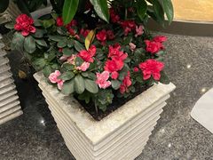 -成都世纪城假日酒店-西楼