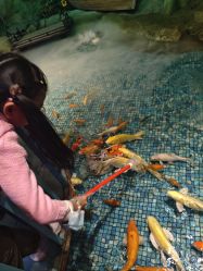 -酷嗒动物文化乐园(cutezoo西溪乐天城店)