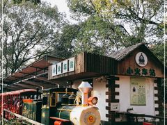 -上海共青森林公园