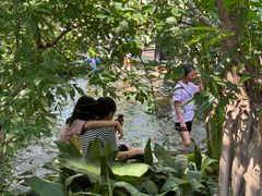 -成都市活水公园
