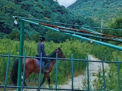 -北仑森林植物园