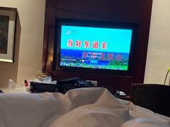 -保利·新九寨宾馆