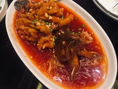 松鼠桂鱼-新南华大酒店(长寿店)