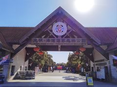 -上海海湾国家森林公园