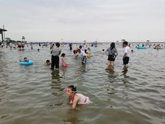 -碧海金沙