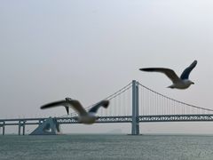 -星海广场