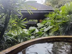 -融汇温泉