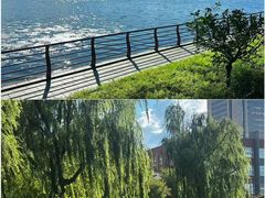 -长春市南湖公园