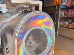 -艾贝尔宠物医院·狂犬免疫点(江山金象城店)