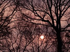 -徐州博顿温德姆酒店(高铁东站店)