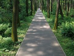 -同里国家湿地公园