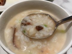-MR鹅外