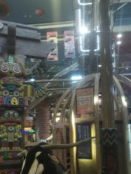 -卡通尼·Safari非洲探索乐园·生日会(金桥国际商业广场店)