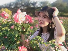 -亚龙湾国际玫瑰谷