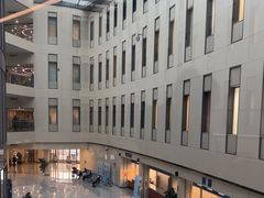 -首都医科大学附属北京天坛医院
