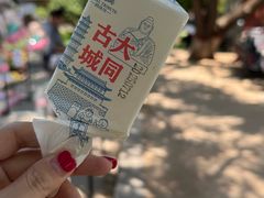 -大同古城-太平楼